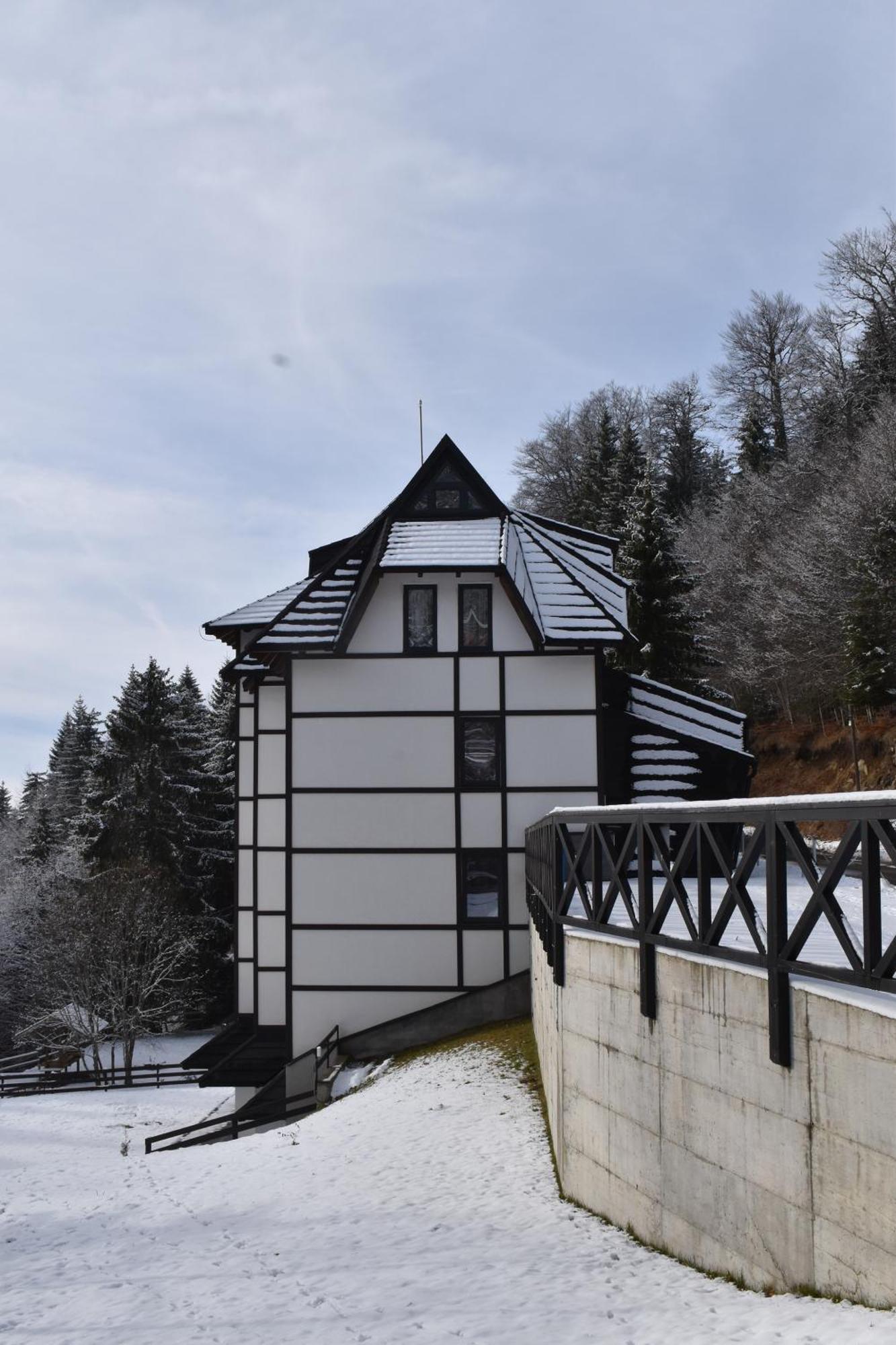 Vila Irina Kopaonik Kültér fotó